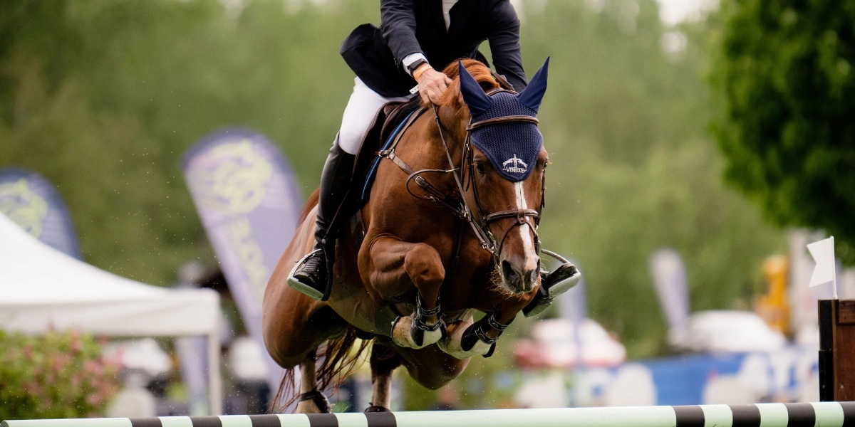 Event image for $15,000 CSI3* Winning Round 1.45m