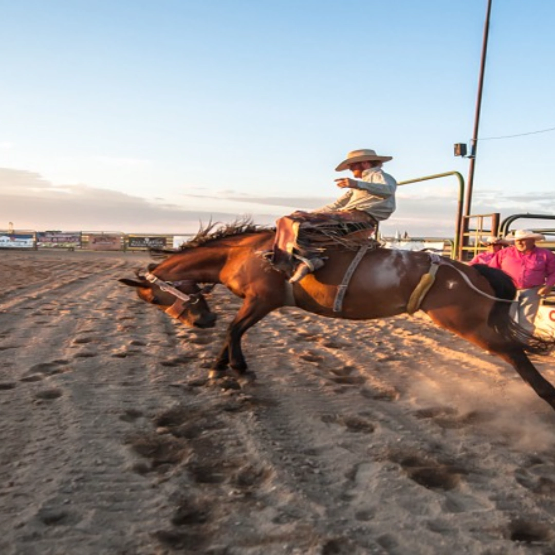 Event image for Teton Valley Rodeo