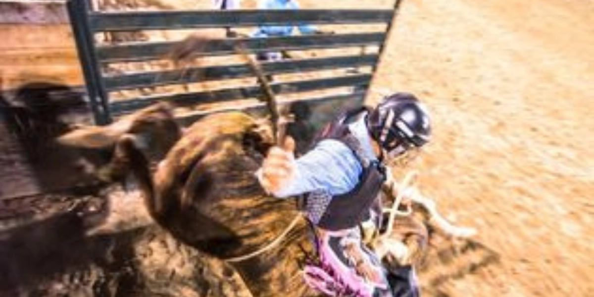 Event image for Teton Valley Rodeo - Jun 16 through August 18