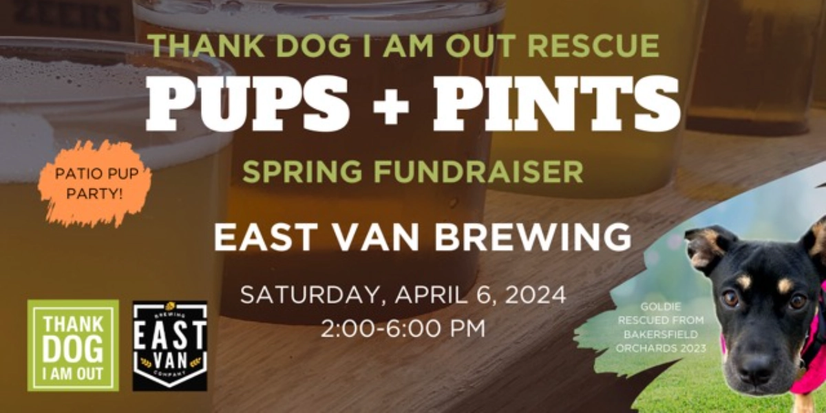 Event image for Thank DOG I am Out SPRING PUB NIGHT