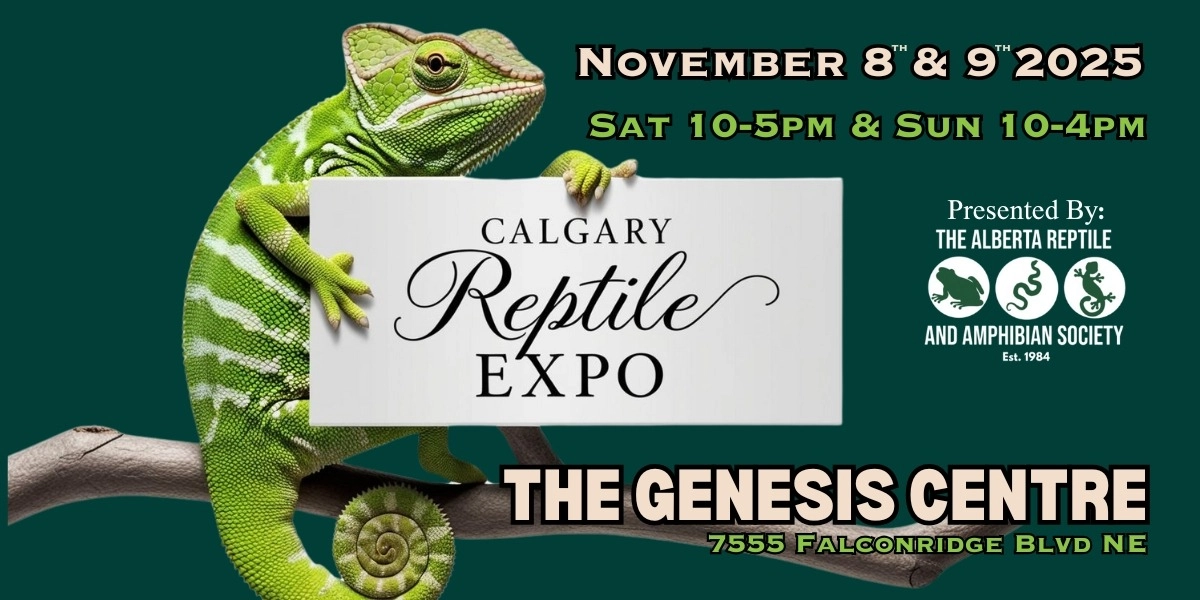 Event image for Calgary Reptile Expo November 8-9 2025