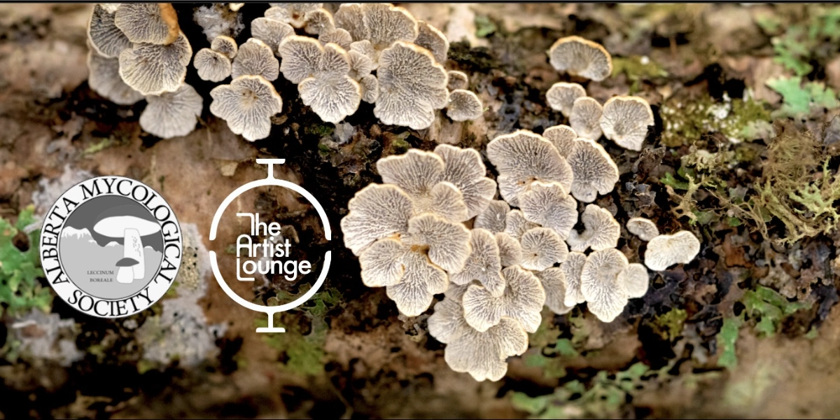 Event image for Alberta Mycological Society Presents: The Calgary Spore Social