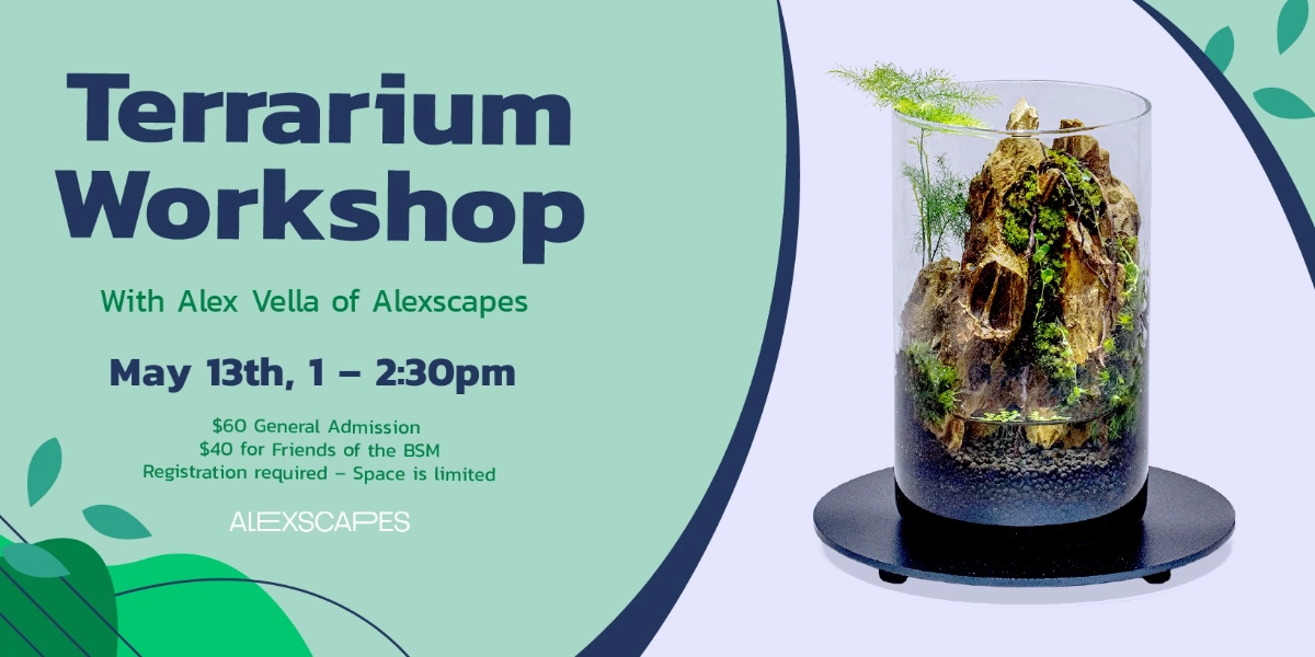 Event image for Terrarium Making Workshop