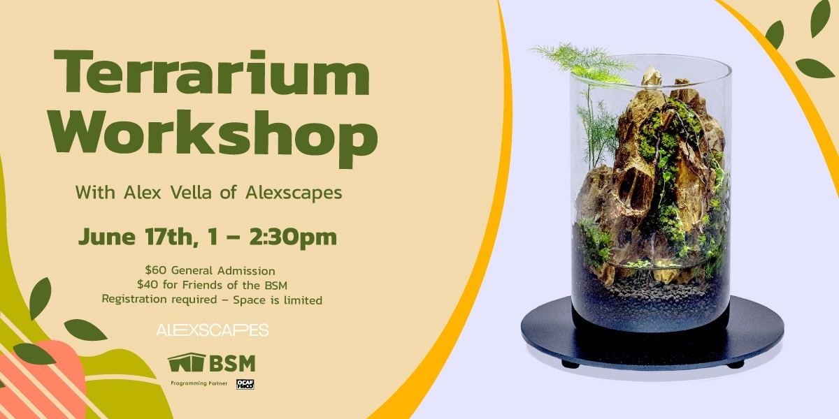 Event image for Terrarium Making Workshop