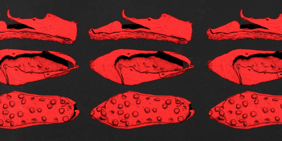 Event image for Spring Exhibition Opening