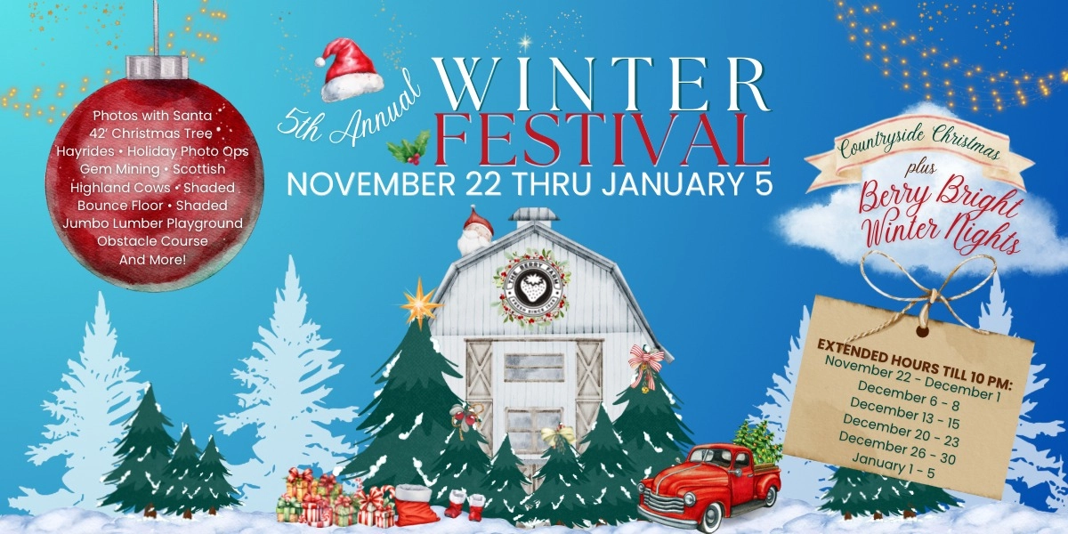 Event image for Winter Festival