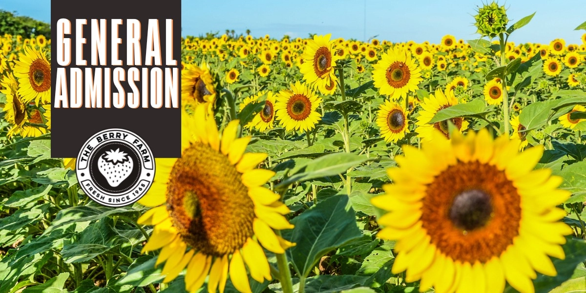 Event image for General Admission