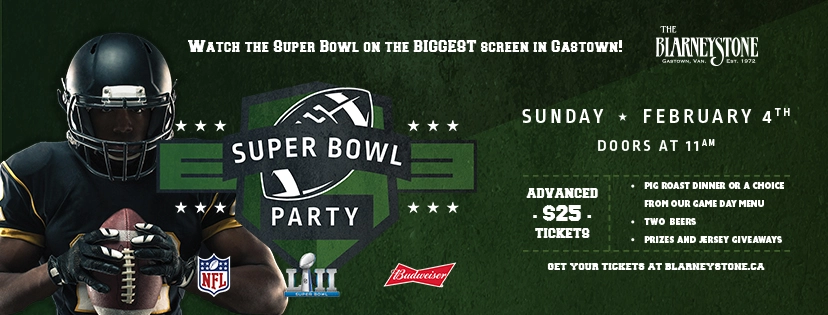 Event image for Super Bowl Party