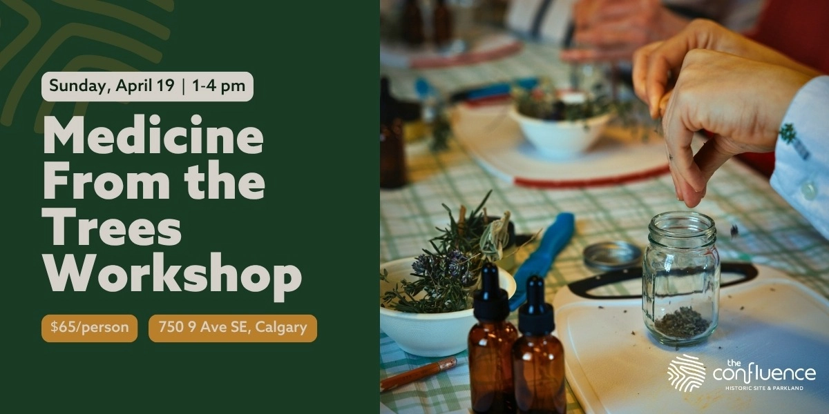 Event image for Medicine From the Trees Workshop