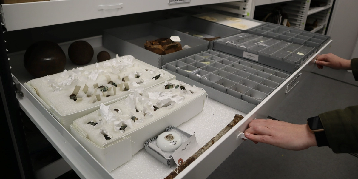 Event image for Beyond the History Books: Exploring Stories of the Land