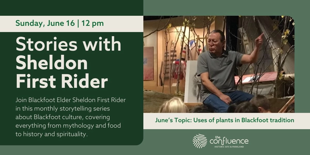 Event image for Stories with Sheldon First Rider: Traditional Blackfoot Plants