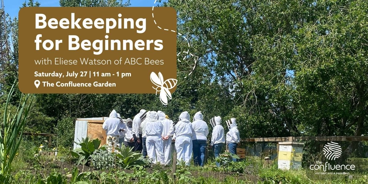 Event image for Beekeeping for Beginners