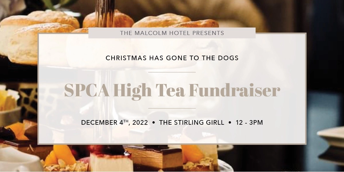 Event image for Festive High Tea - Christmas Has Gone To The Dogs
