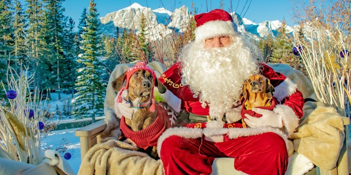 Event image for SPCA Fund Raiser - Pet Photos With Santa