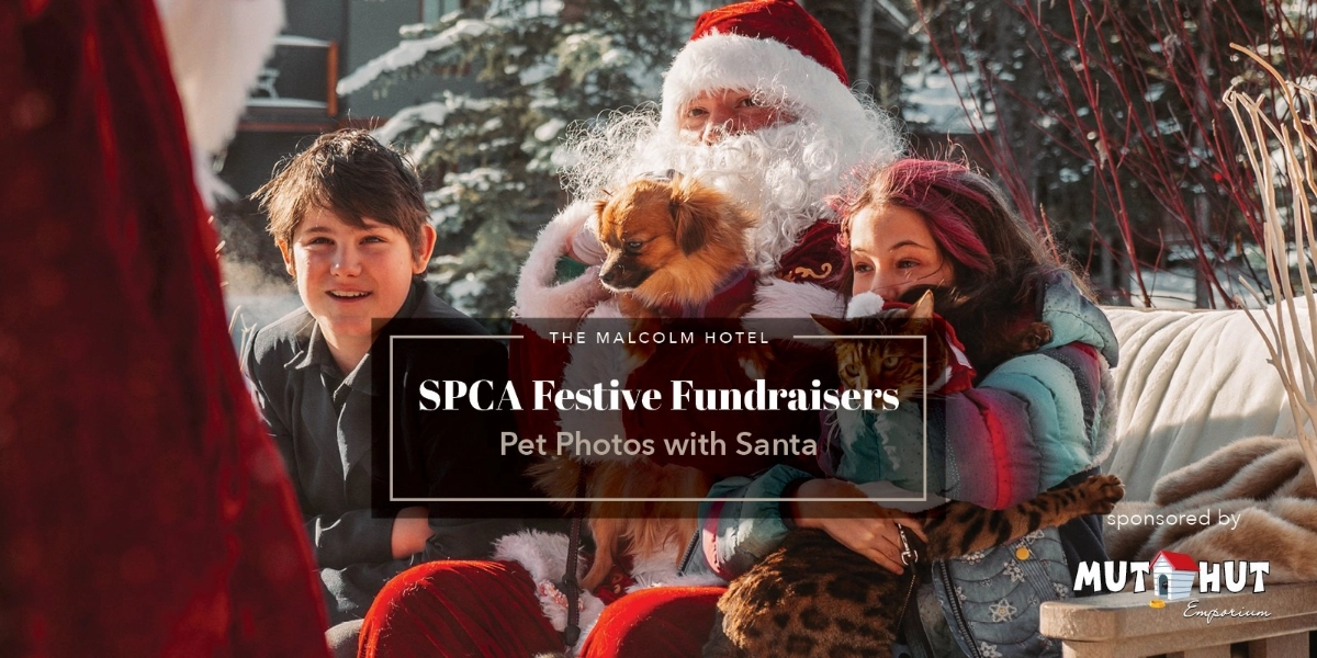 Event image for SPCA Fund Raiser - Pet Photos With Santa