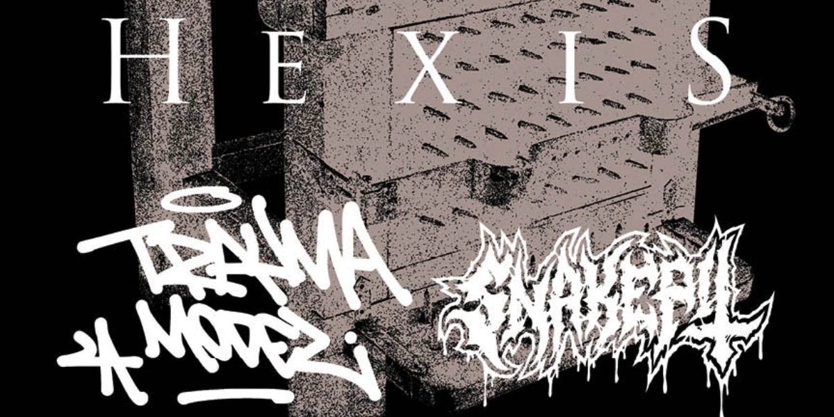 Event image for HEXIS and Trauma Model with Snakepit