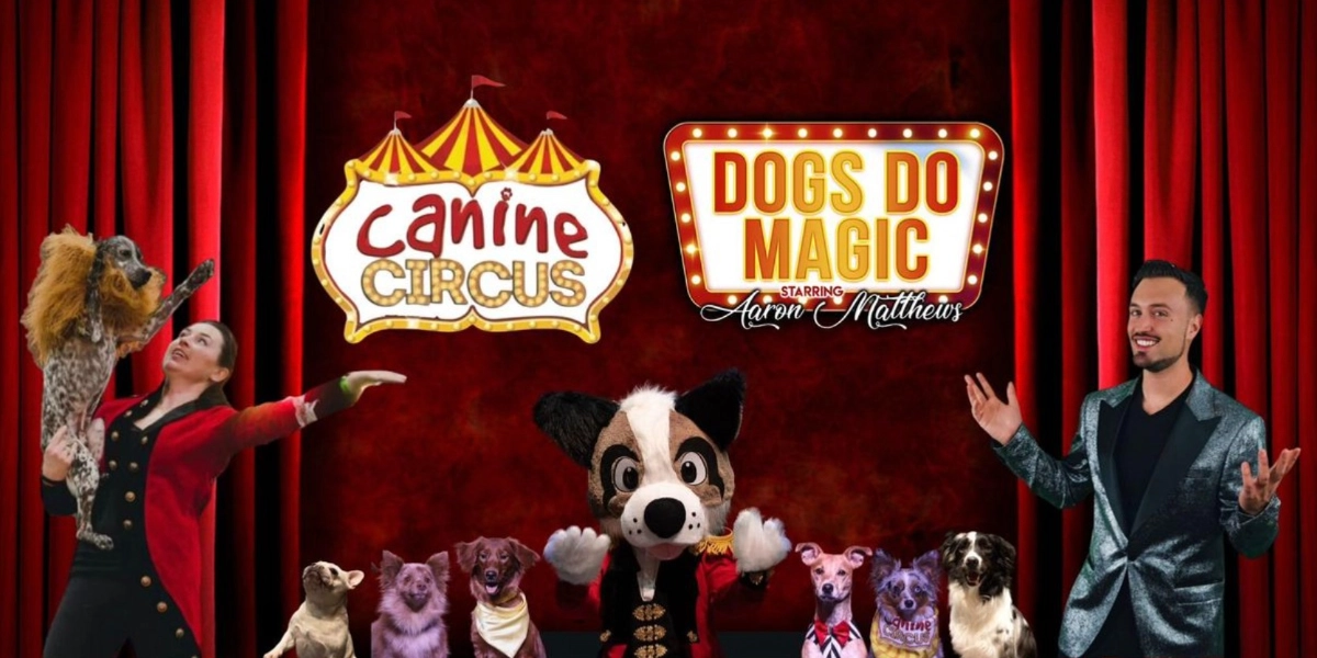 Event image for The Canine Circus: Dogs Do Magic!