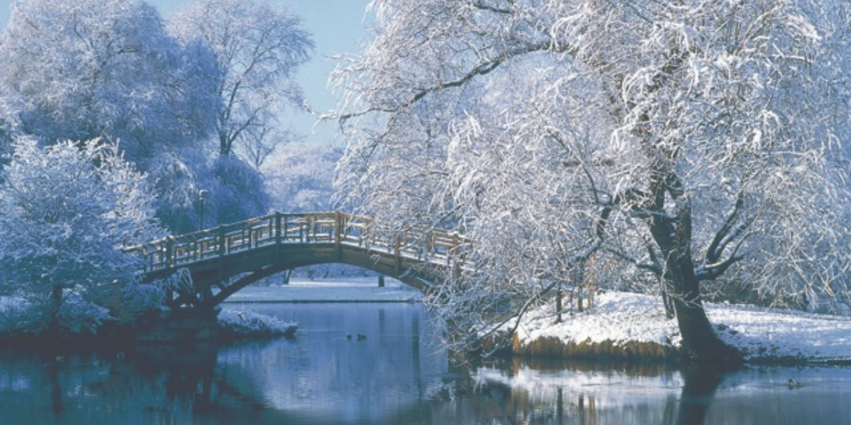 Event image for Chamber Music for a Winter Night