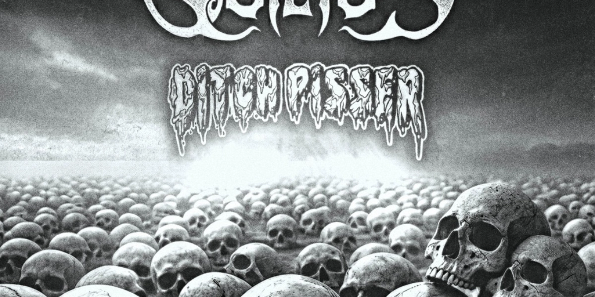 Event image for FAMOUS STRANGERS w/ QUEITUS & Ditch Pisser