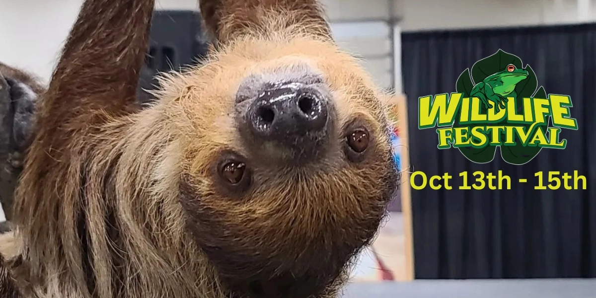 Event image for Edmonton Wildlife Festival