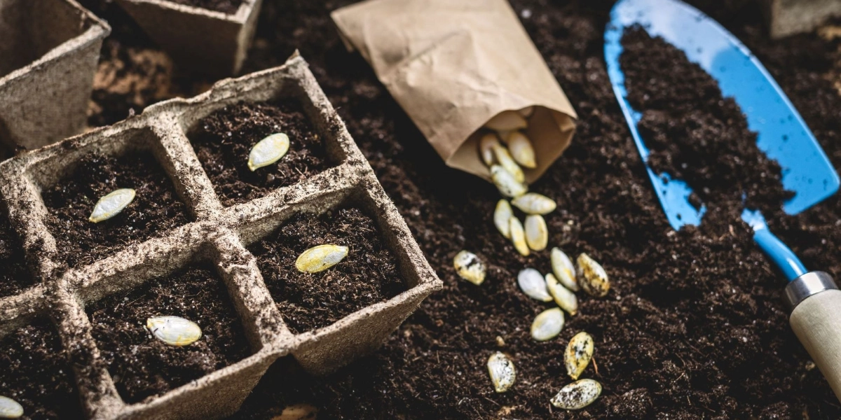 Event image for Seed Saving: A Green Living Workshop