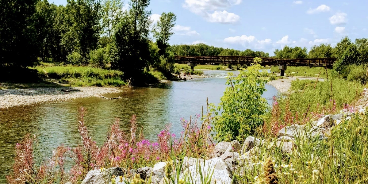 Event image for The Living Systems Summit