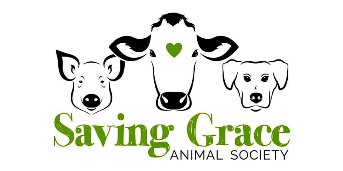 Event image for Driven By Compassion: Saving Grace Animal Society