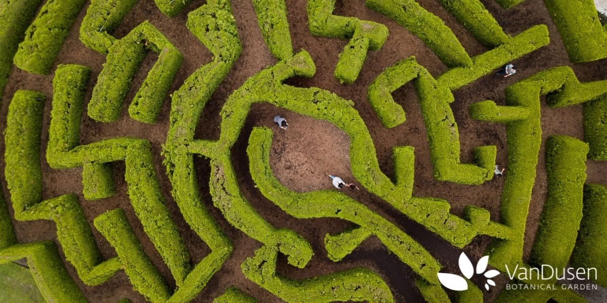 Event image for VanDusen Botanical Garden - October 2024