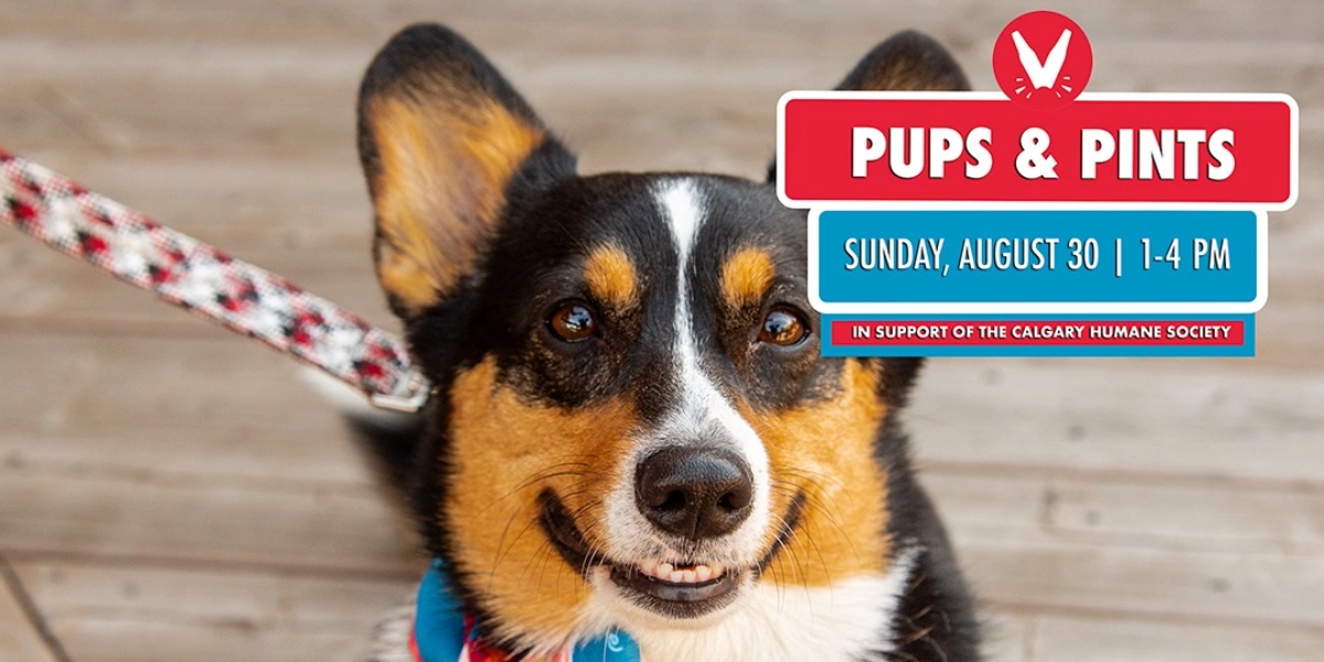 Event image for Pups & Pints at Village Brewery