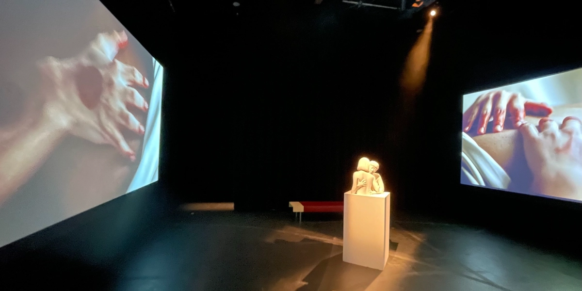 Event image for Multi-Channel Video Editing & Installation