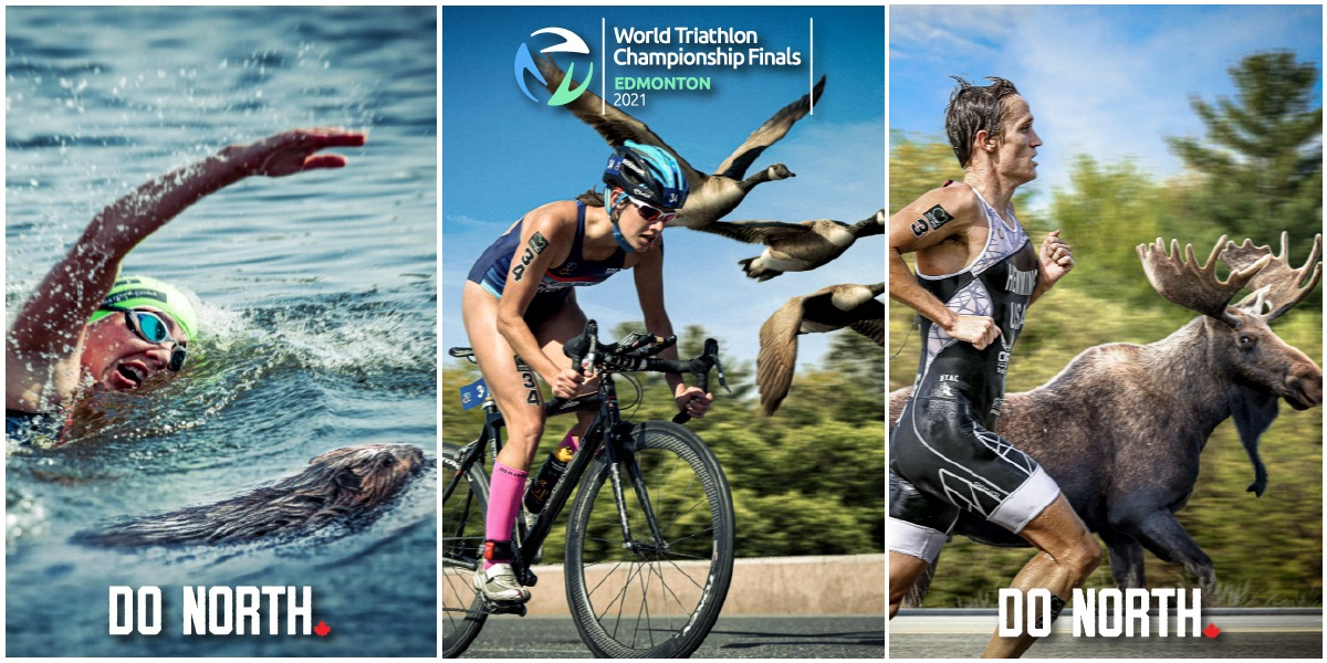 Event image for World Triathlon Championship Finals
