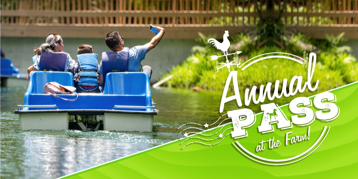 Event image for Annual Pass Online sale 20% OFF