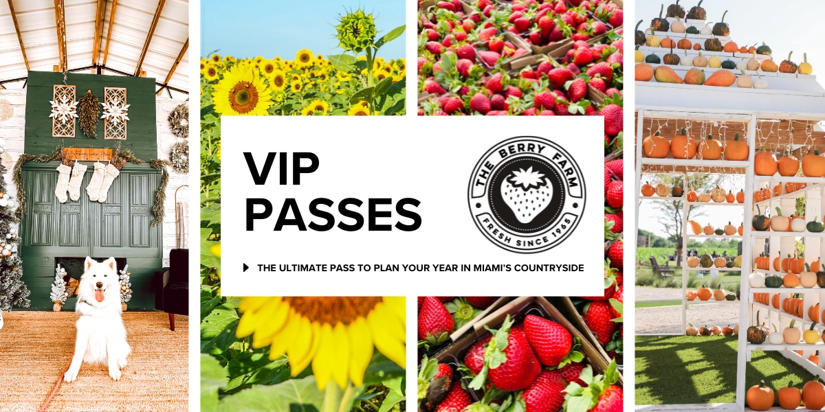 Event image for VIP Annual Passes 2025