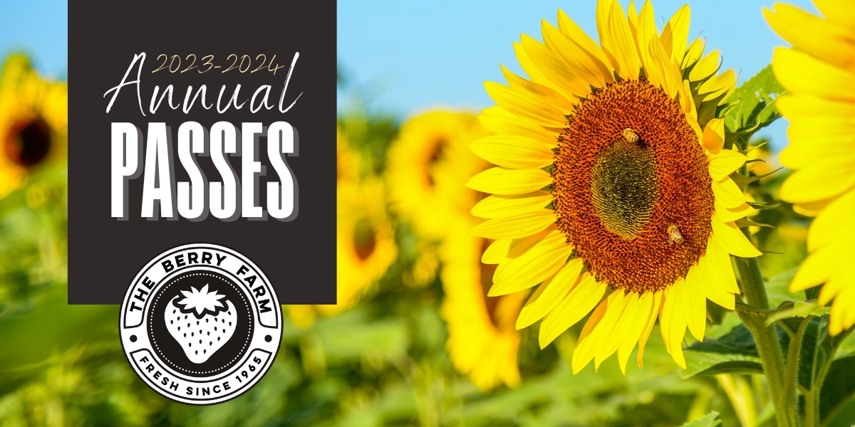 Event image for 2023-2024 - Berry Farm Annual Pass