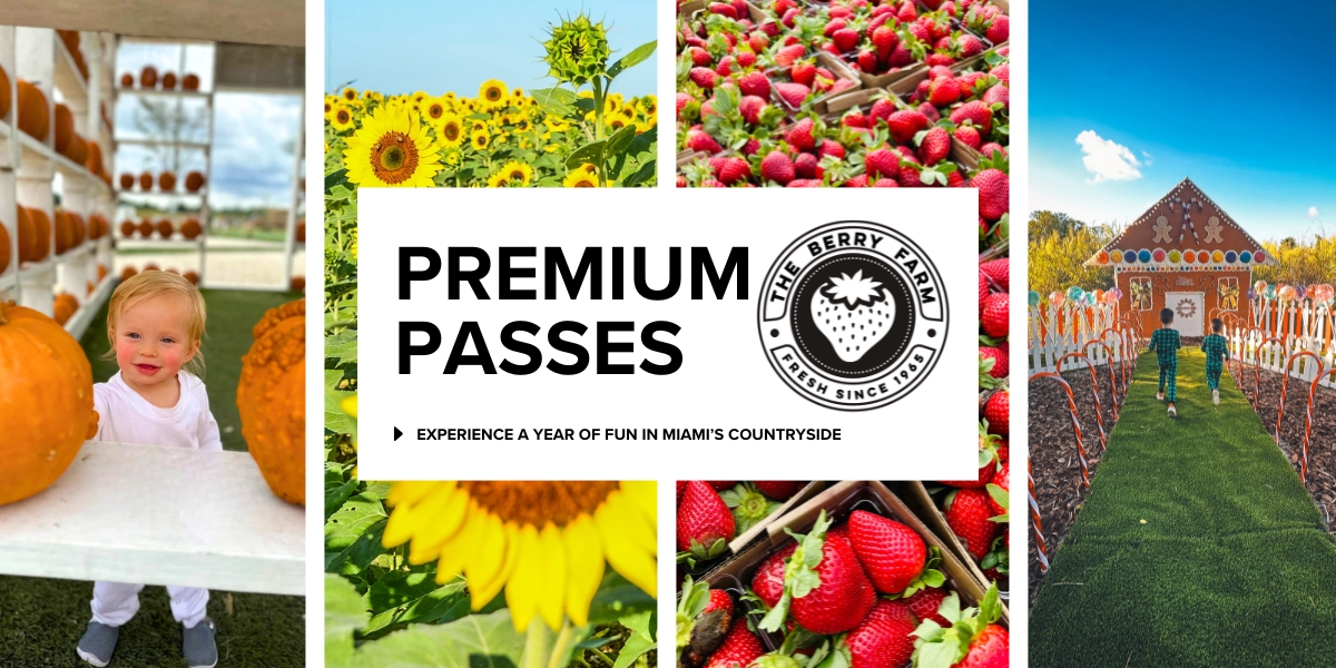 Event image for Premium Annual Pass 2025